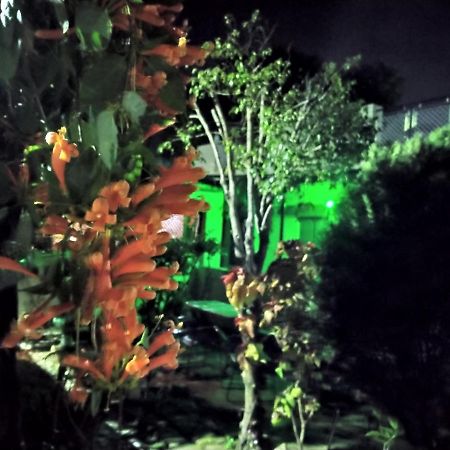 Last Chance Cafe And Guest House Rishīkesh 外观 照片